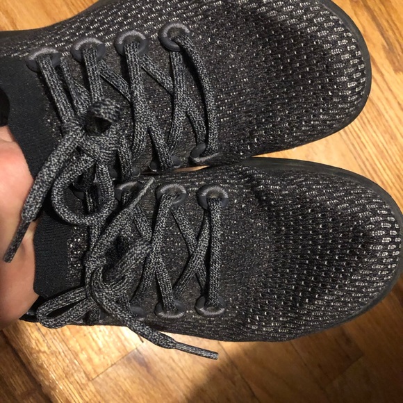 All birds - Picture 2 of 4